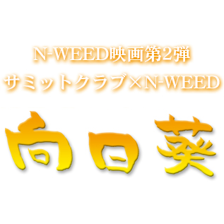 映画「向日葵」